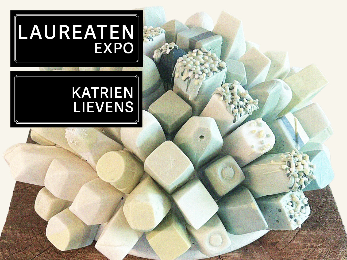 expo_laureaten_schermen_Katrien_Lievens_website